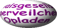 wv schriftzug